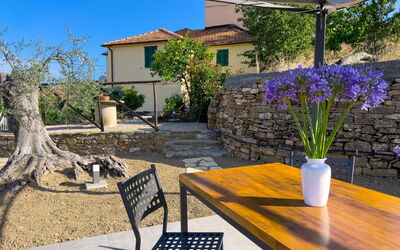 Villa Annette: Jardin