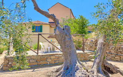 Villa Annette: Extérieurs, Jardin