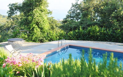 Villa Agilla: Swimming pool and garden