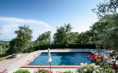 Villa Agilla: Swimming pool and garden