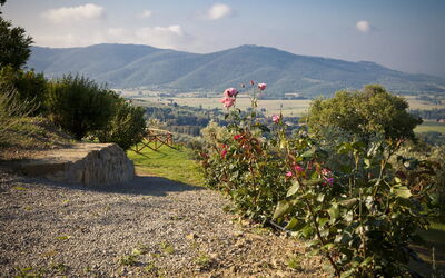 Villa Bentivoglio: Panoramic view