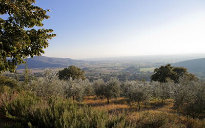 Villa Bentivoglio: Panoramic view