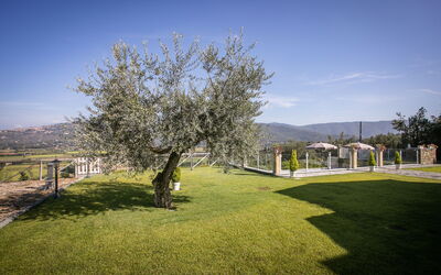 Villa Giulietta: Garden