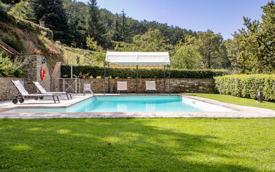 Villa Apollo: Swimming pool and garden