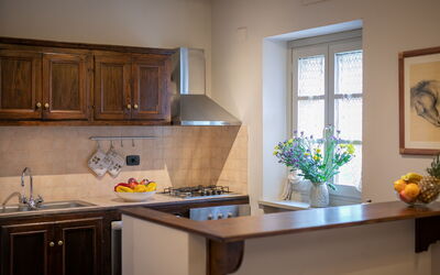 Villa Apollo: Kitchen