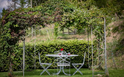 Villa Apollo: Garden