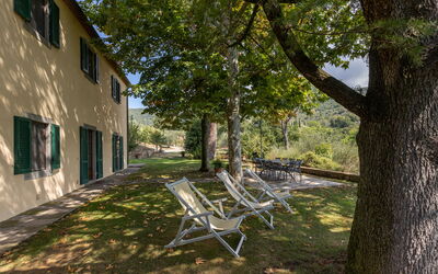 Villa Sofia: Garden and outdoor view