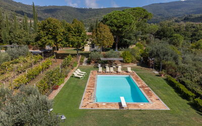 Villa Sofia: Swimming pool and outdoor view