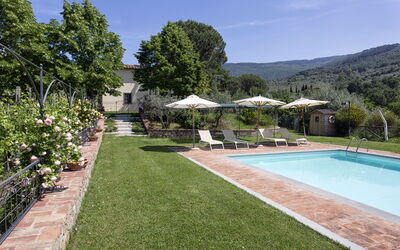 Villa Sofia: Swimming pool and garden