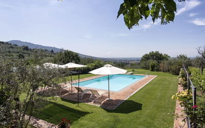 Villa Sofia: Swimming pool and garden