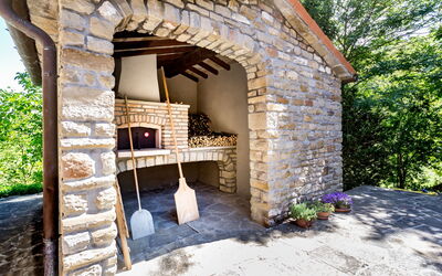 Villa Borgia: Caratteristiche