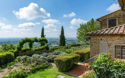 Borgo Falconiera: villa-borgo-del-falcone-sodo-villa-garden
